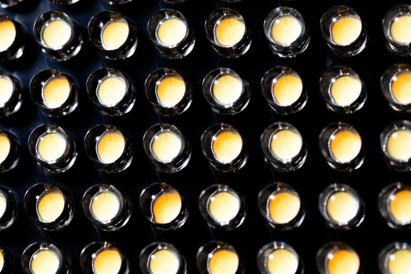 BULBS